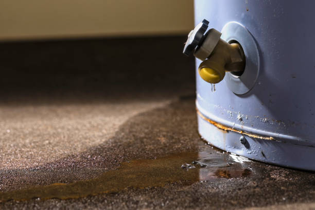 Best Flood damage cleanup  in Rodney Village, DE