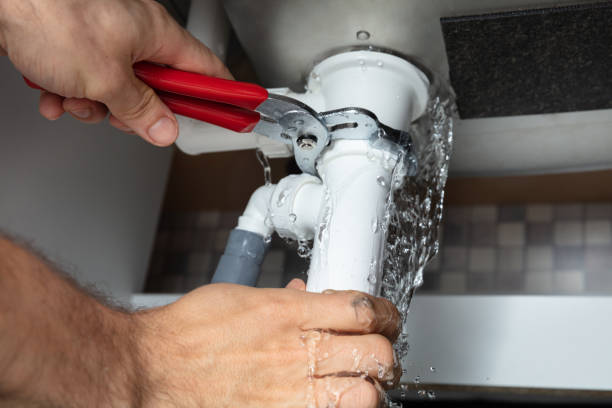 Best Flooded house restoration  in Rodney Village, DE