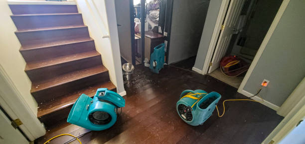 Best Professional water damage repair  in Rodney Village, DE