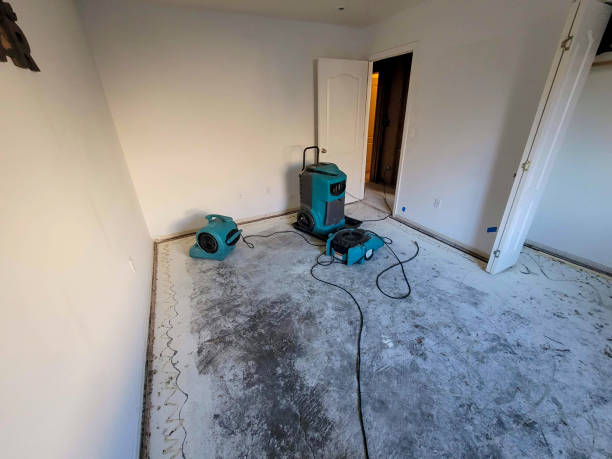 Water damage restoration experts in DE