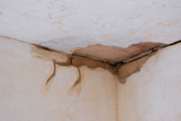 Best Water damage contractors near me  in Rodney Village, DE