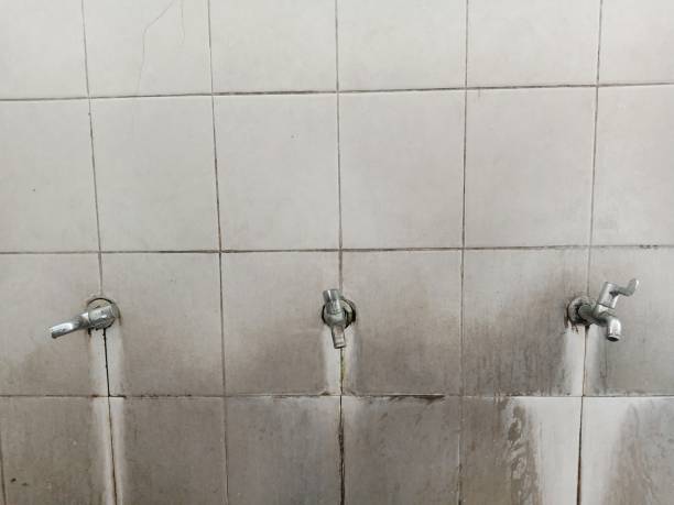 Best 24/7 water damage repair  in Rodney Village, DE