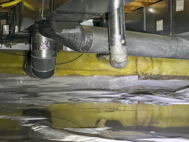 Carpet water damage restoration in DE