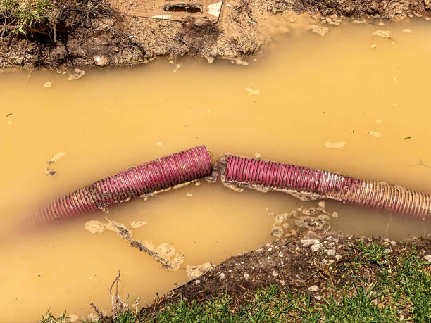 Best Basement water damage restoration  in Rodney Village, DE