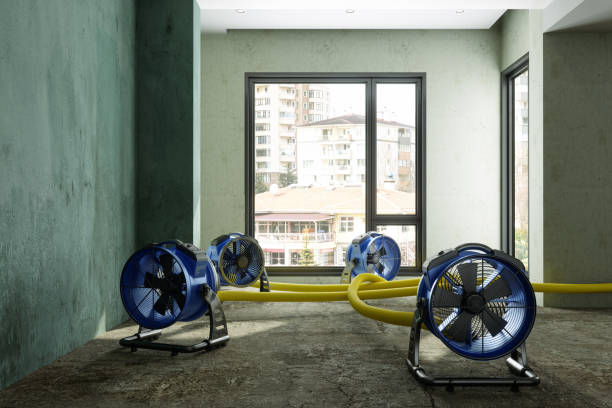 Best Ceiling water damage repair  in Rodney Village, DE
