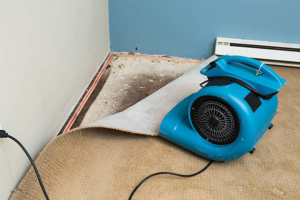Best Sewage cleanup and water damage restoration  in Rodney Village, DE